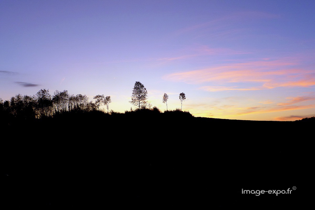 200910couchersoleil03s.jpg