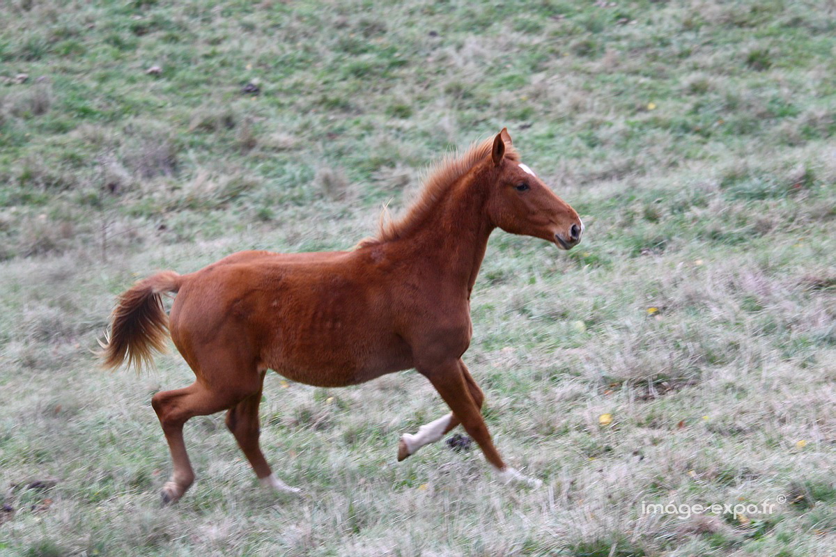 200911automne063s.jpg