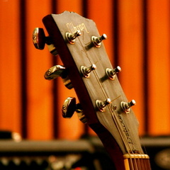 mconcert054.jpg