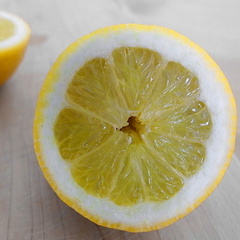 mlemon01.jpg