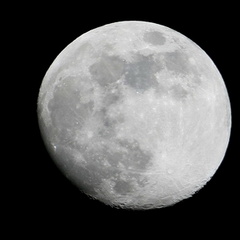 mlune06.jpg